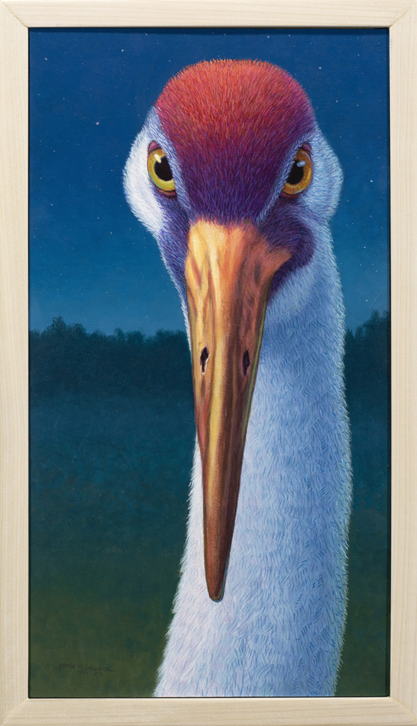 Night Crane